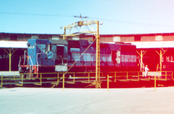1149-9909.jpg